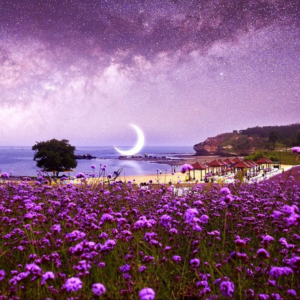 Meet your Posher, Then